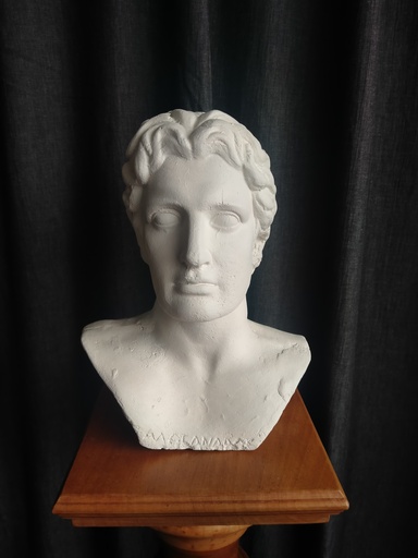 [24034] Plâtre d'atelier buste d'Alexandre le Grand